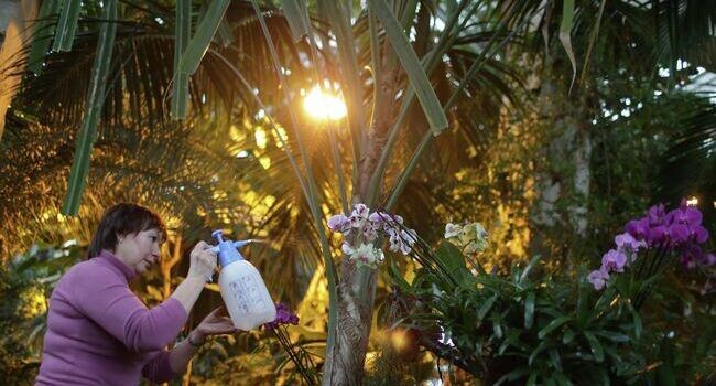    РИА «Новости»