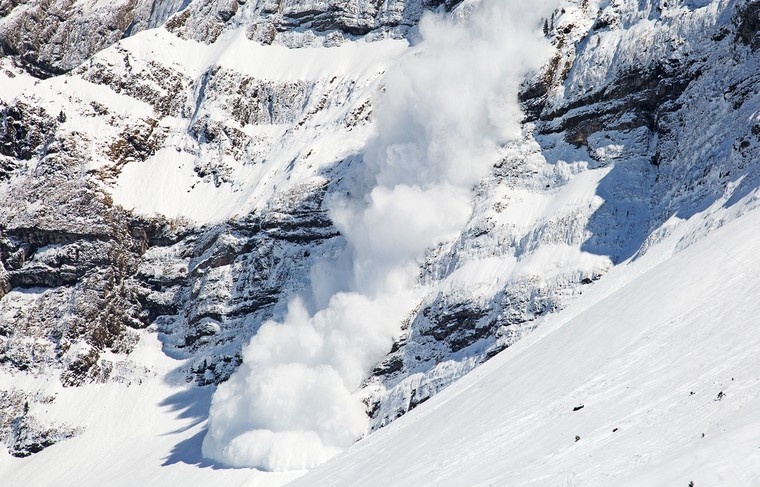    Shutterstock/FOTODOM