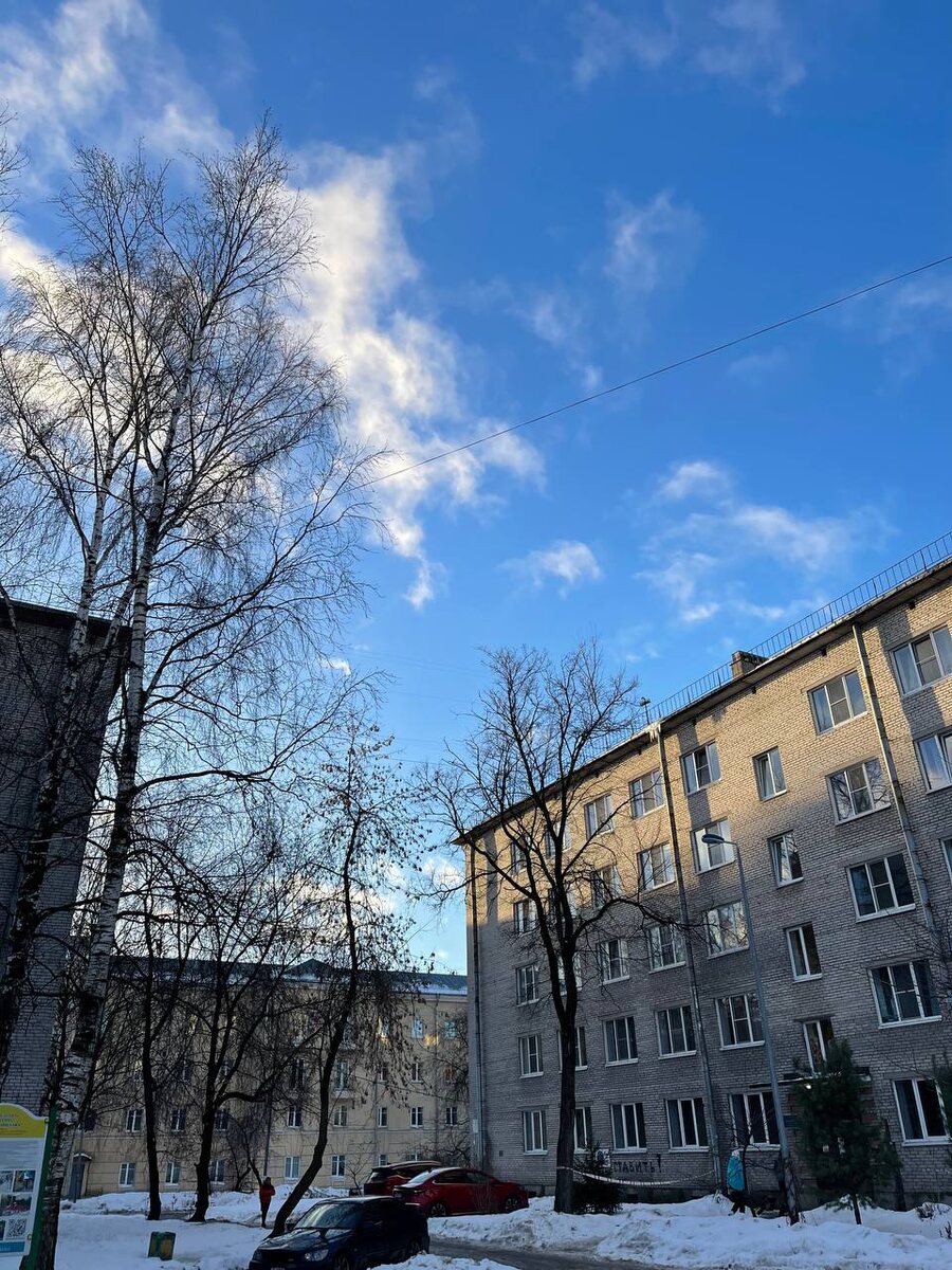 Микрорайон на юге СПб, Авиагородок