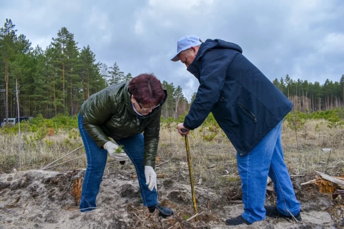    В Добровском районе Липецкой области высадят Сад памяти героев СВО