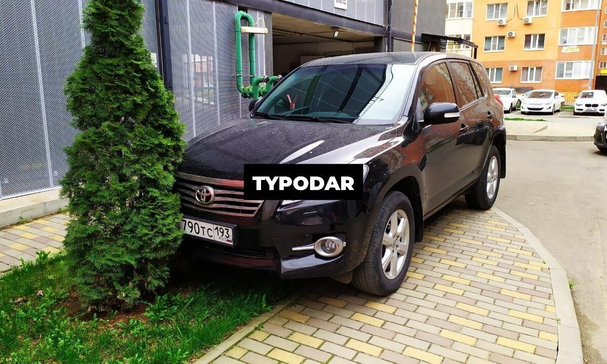    Фото t.me/typodar