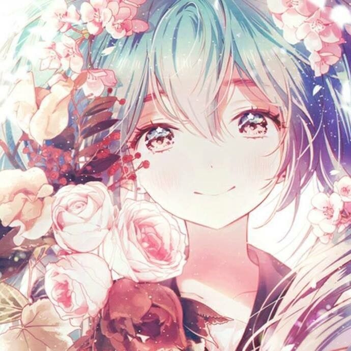 из Яндекс. Картинки