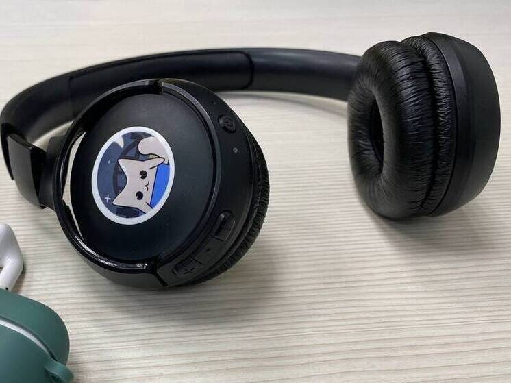     Подозреваемый признался, что нашел наушники на улице и решил их присвоить. фото: архив мк в Мурманске.