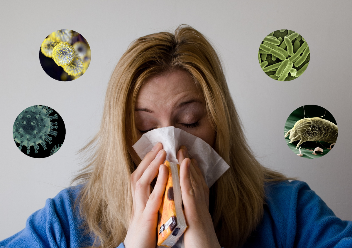 Пыльца с улицы оседает в домашней пыли и может вызывать аллергию круглый год. Поэтому, если в квартире есть аллергики, стоит регулярно проводить влажную уборку — не реже 2 раз в неделю