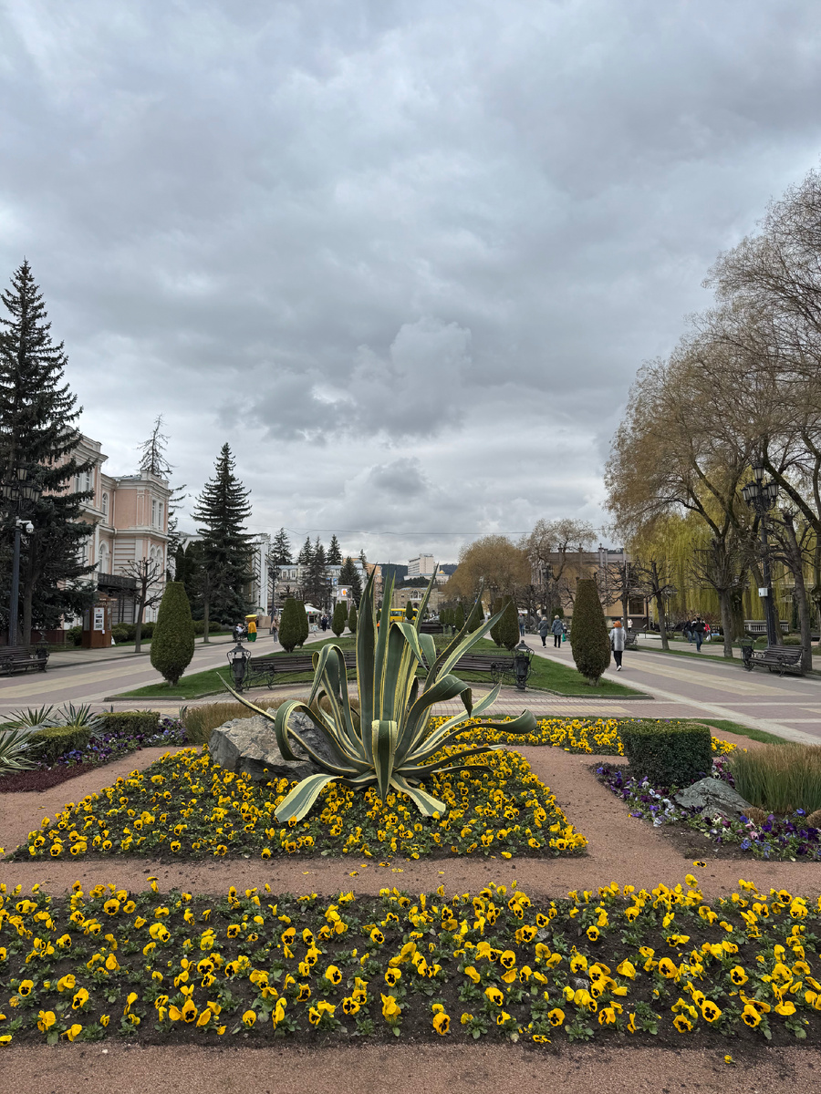 Курортный бульвар, фото Сад в стиле Paradise ®