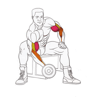 Не тот вес, не та частота, не то количество повторений. Переделывай!