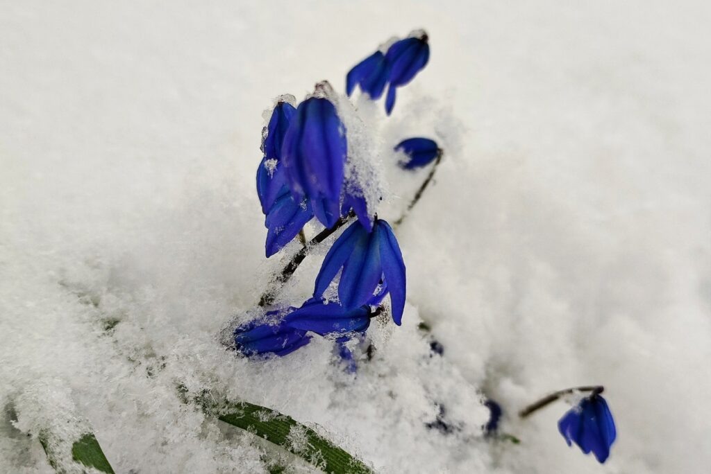    Фото: Татьяна Арефьева Юля Баранова