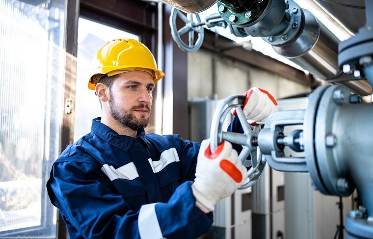    Shutterstock/FOTODOM