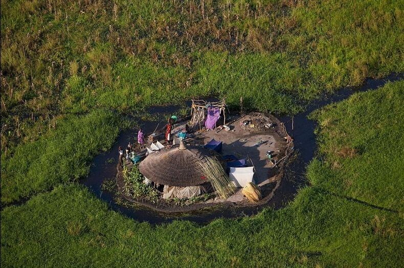 Изображение взято с сайта https://i.pinimg.com/originals/86/af/04/86af04bd66c387981c51041a5b8869e1.jpg