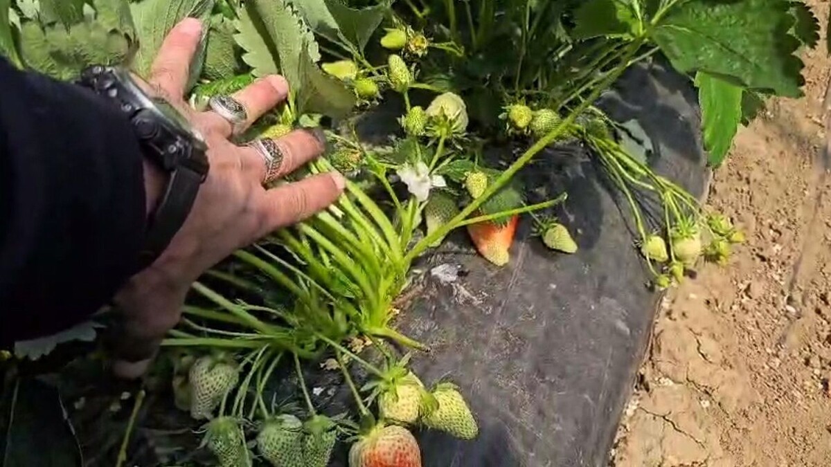    Фото: Игорь Богородский