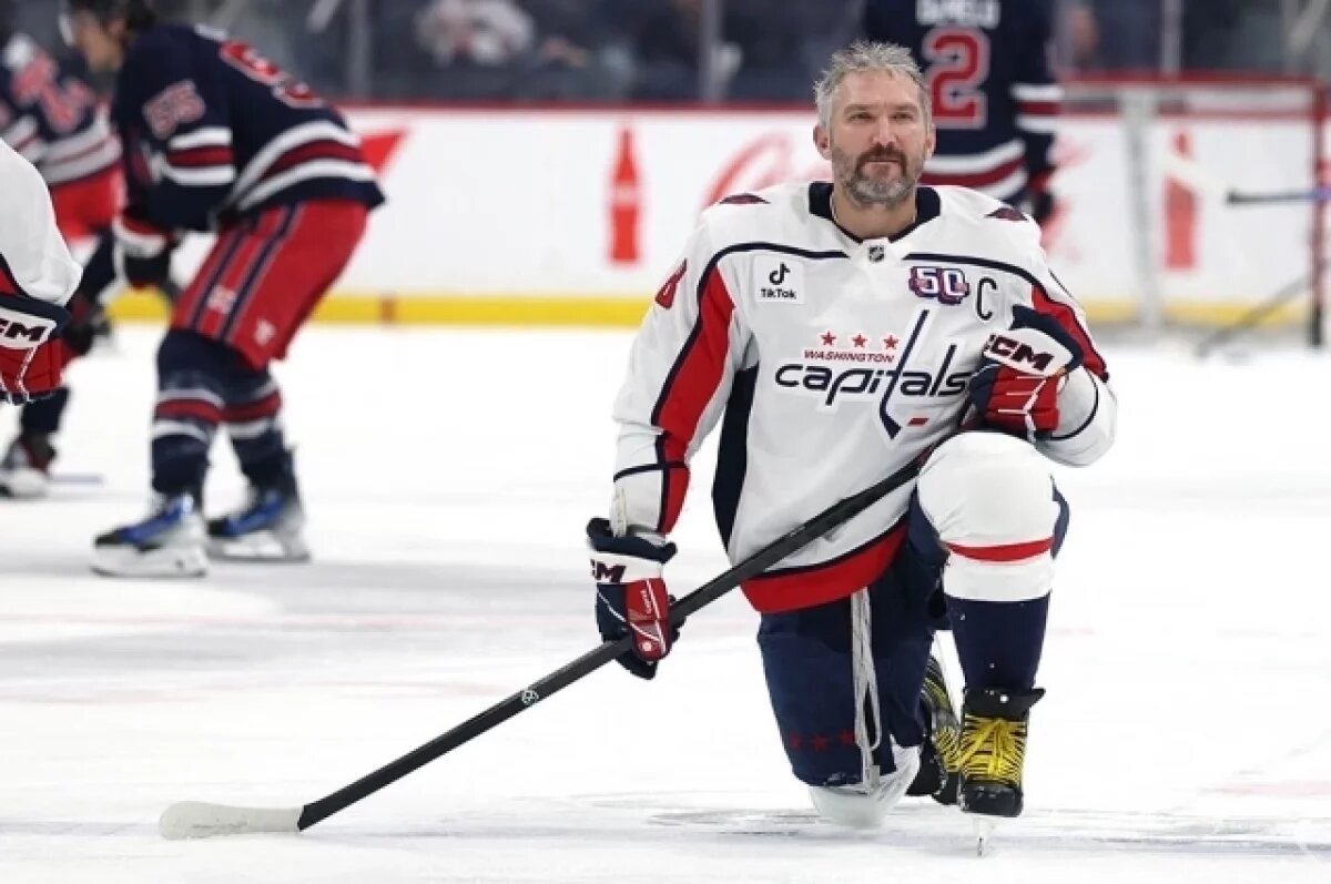    Телка Овечкина.