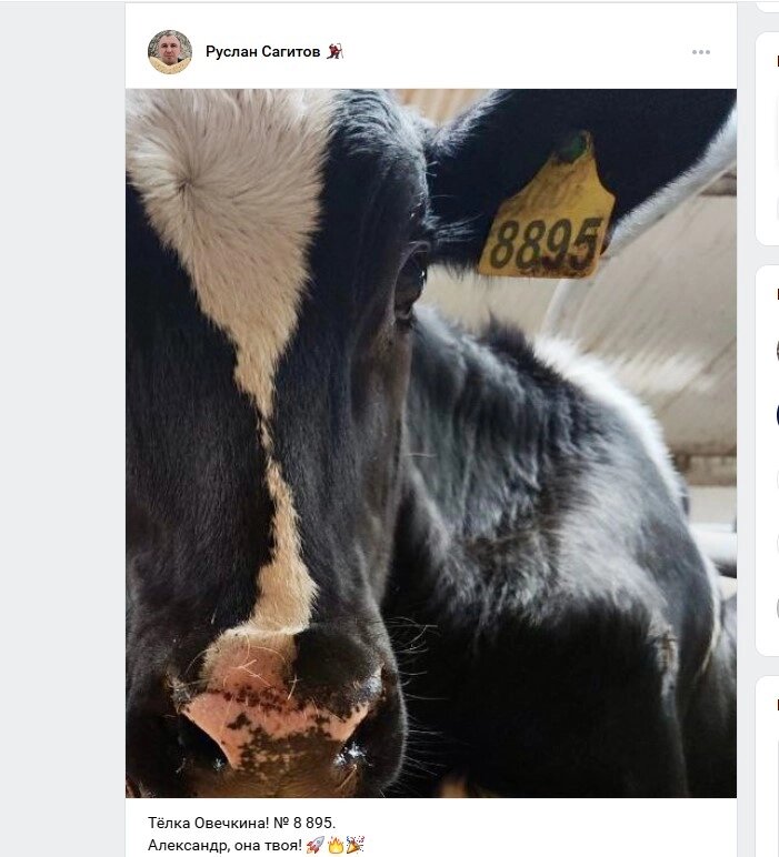    Фото: Из личного архивa/ Руслан Сагитов