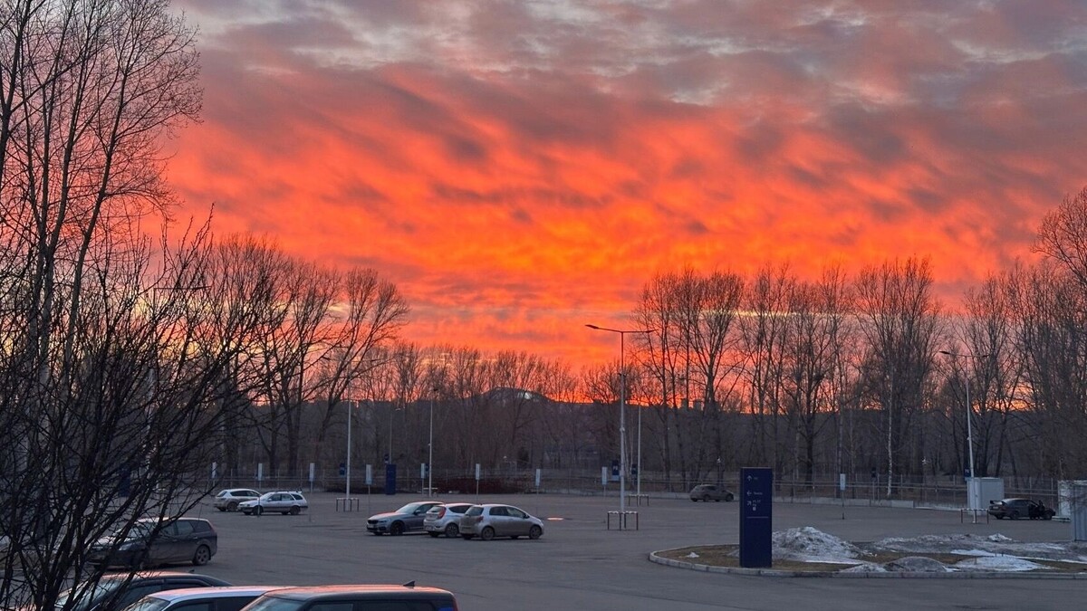     Источник: prmira.ru