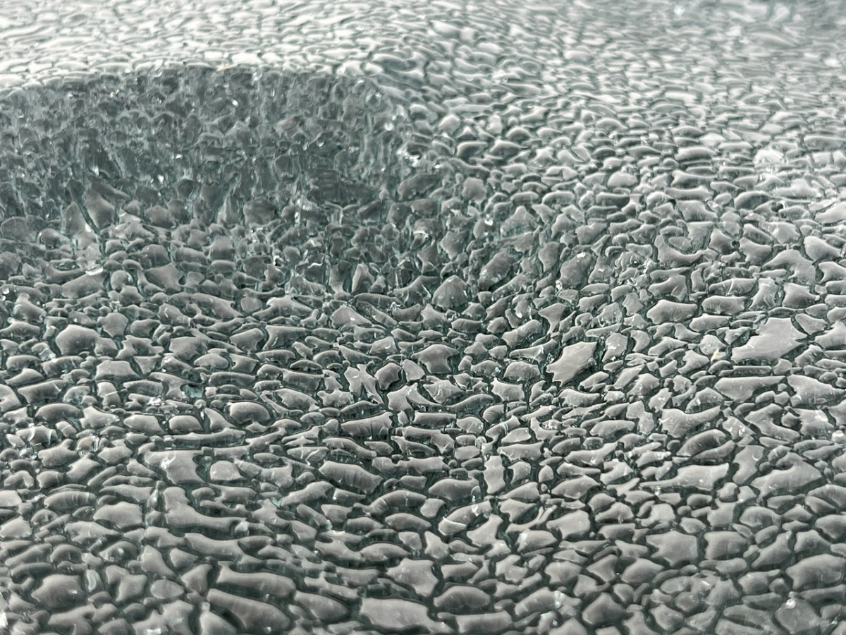 Фото/видео: Дмитрий Ашаев VK