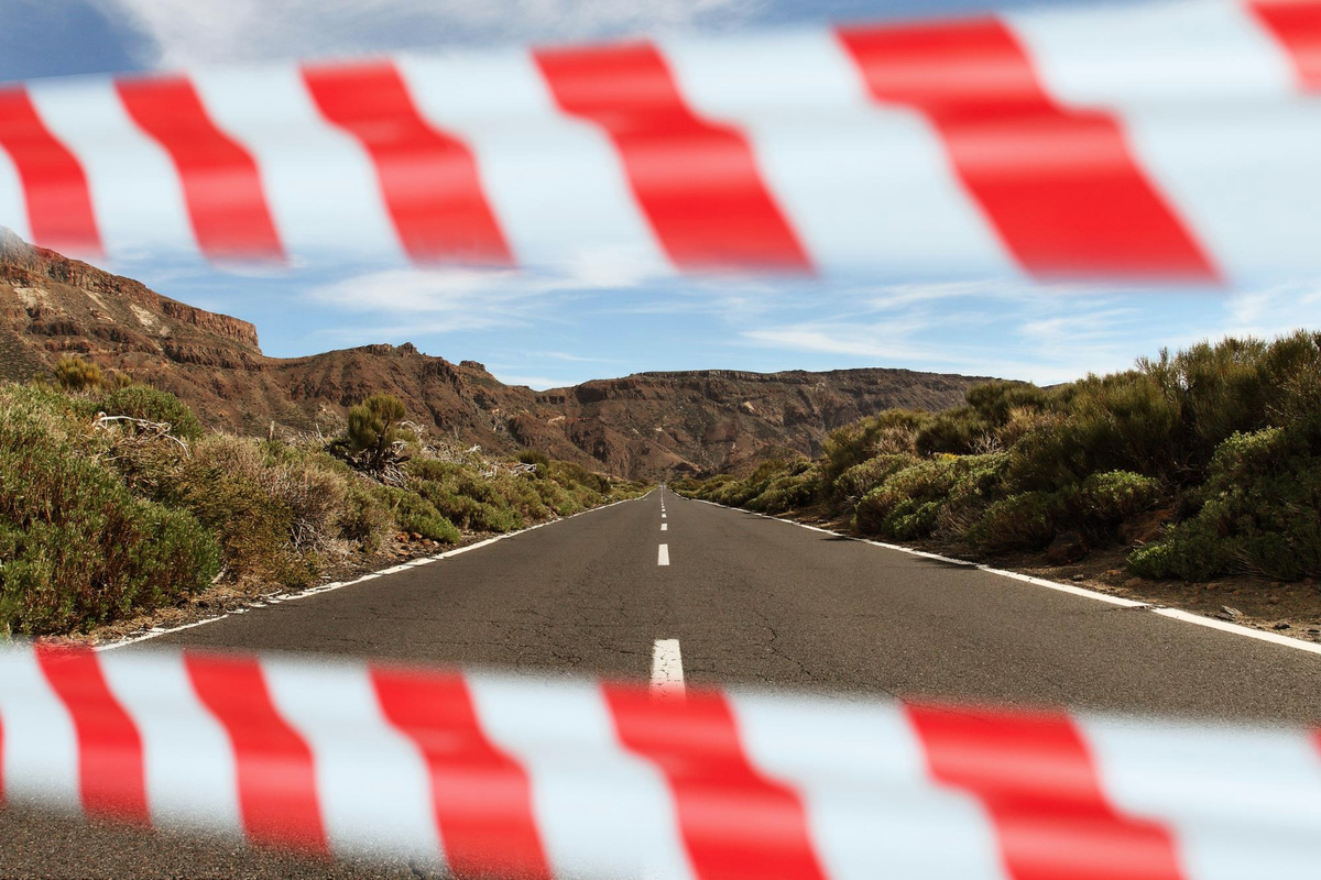 Фото: freepik.com  📷
