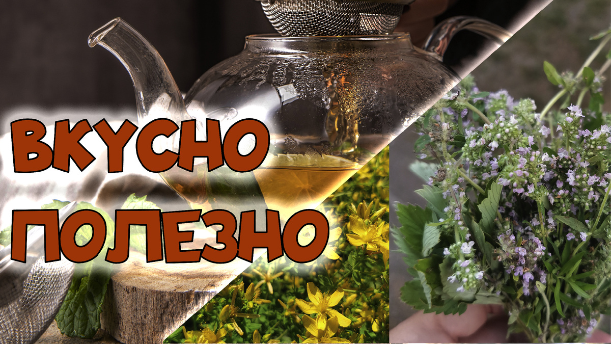 Чем заменить дешевый чай в пакетиках. ТОП-3 самых лучших чайных растений с лугов.