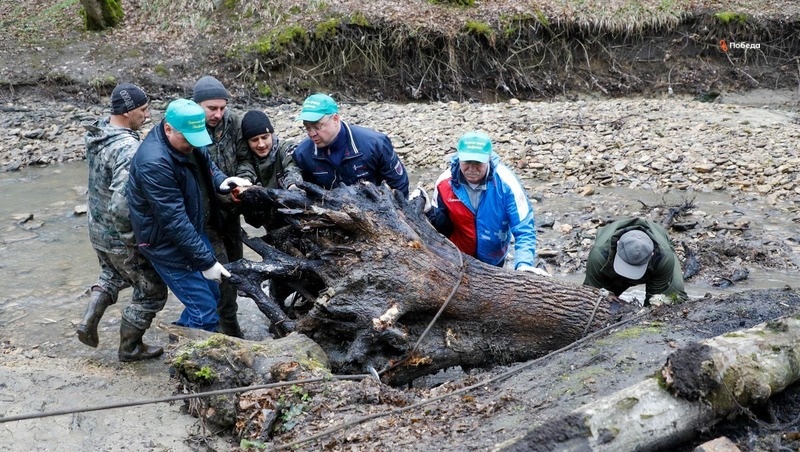      Фото: Эдуард Корниенко / / ИА «Победа26»