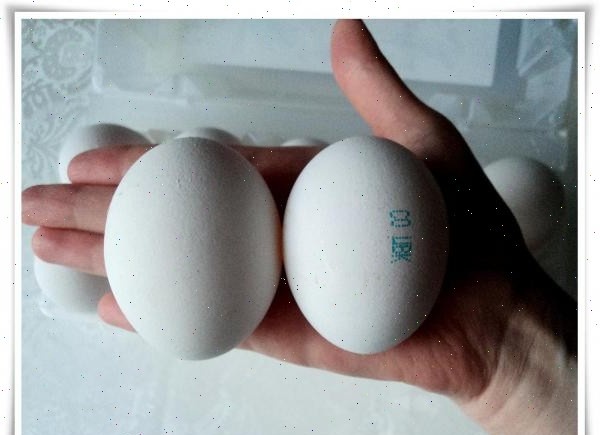 Вот это - размерчик что надо!