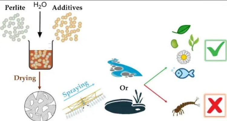     В преддверии нашествия комаров летом 2025 ученые разработали новаторский способ борьбы с кровопийцами
