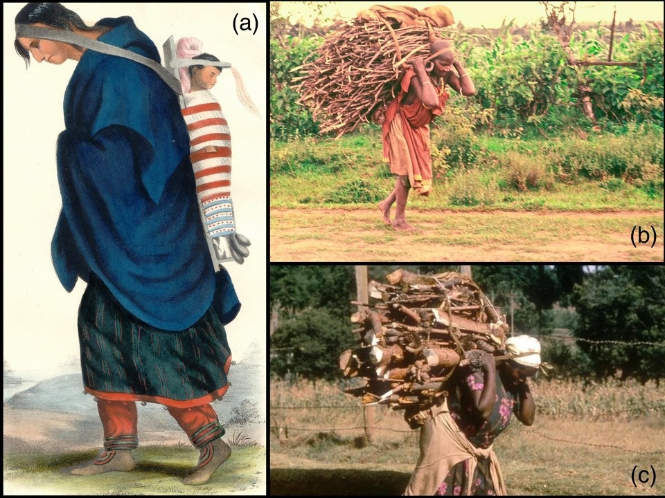   Jared Carballo-Pérez et al. / Journal of Anthropological Archaeology, 2025