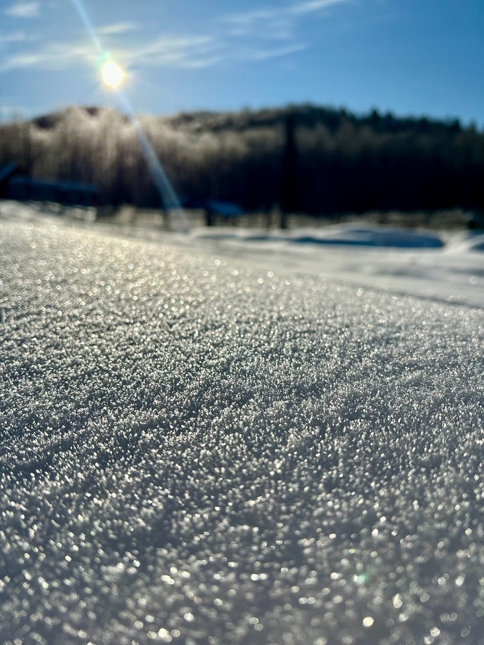 Южно-Уральский государственный природный заповедник. Фото: Айгуль Ибрагимова / ВКонтакте