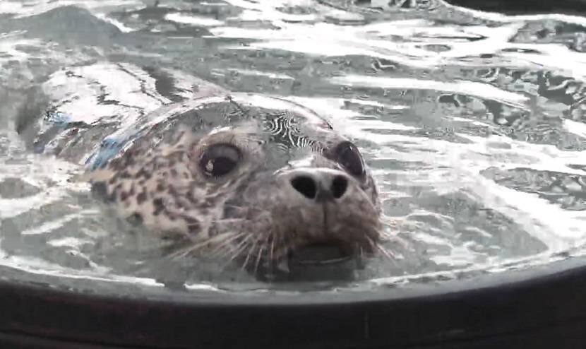    Источник фото: