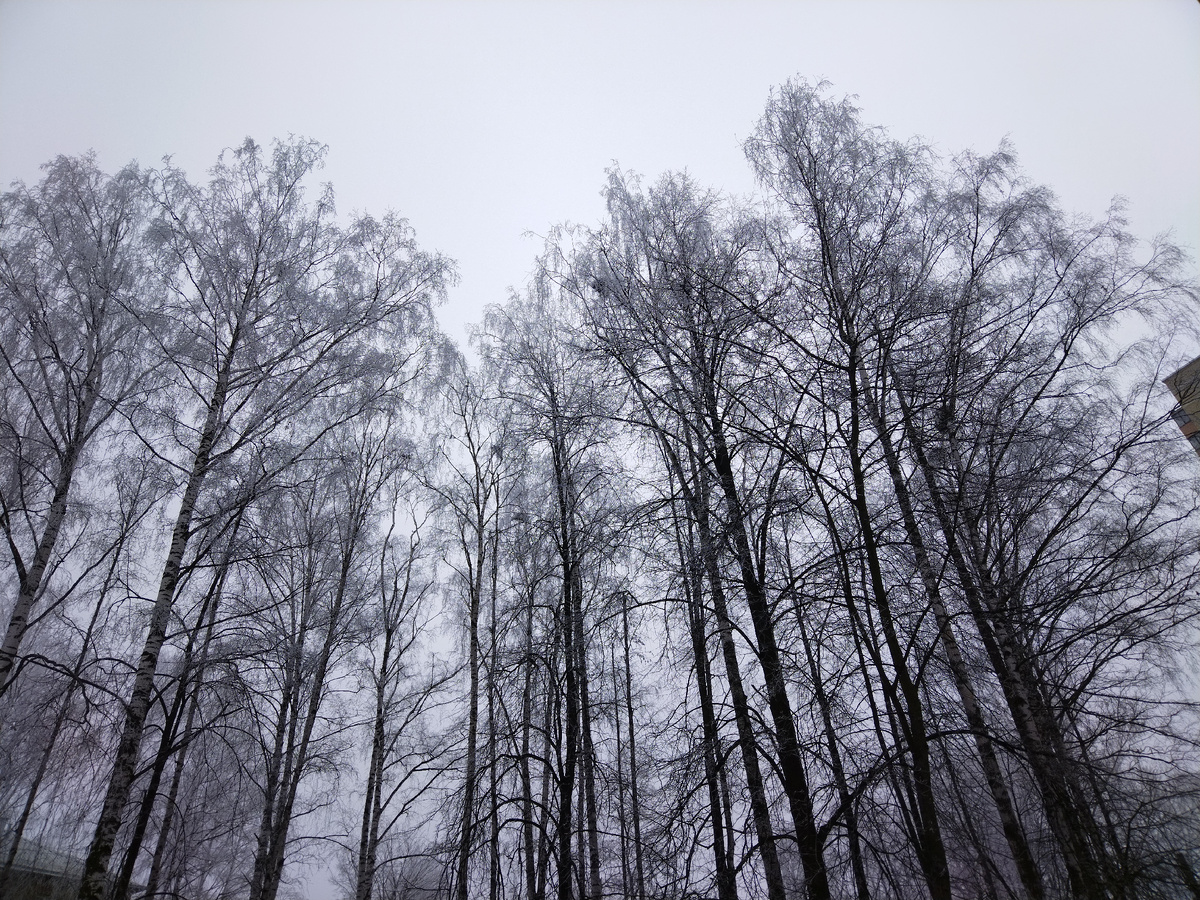 Цветное фото