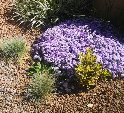 Просто для картинки