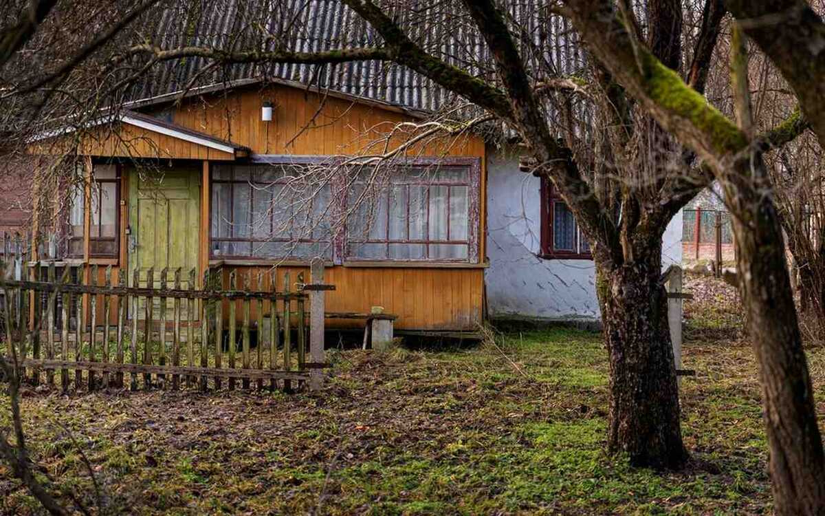    СНТ «Дубрава» обжалует в кассации не увиденные бюллетени Фото – ru.freepik.com