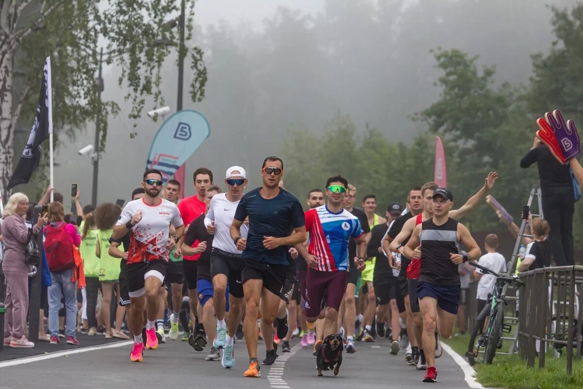 Фото: сайт https://5verst.ru