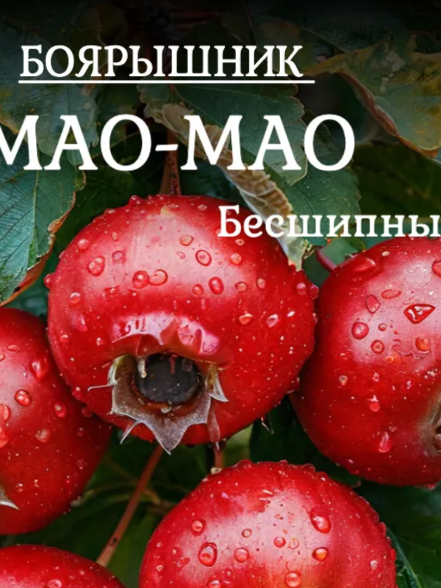 Изображение с wildberries.ru