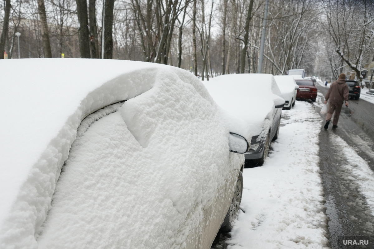 Высота снежного покрова продолжит расти до середины недели. Фото: Немышев Вячеслав © URA.RU