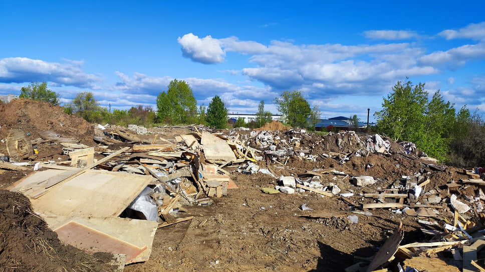 Фото: Брагин Александр