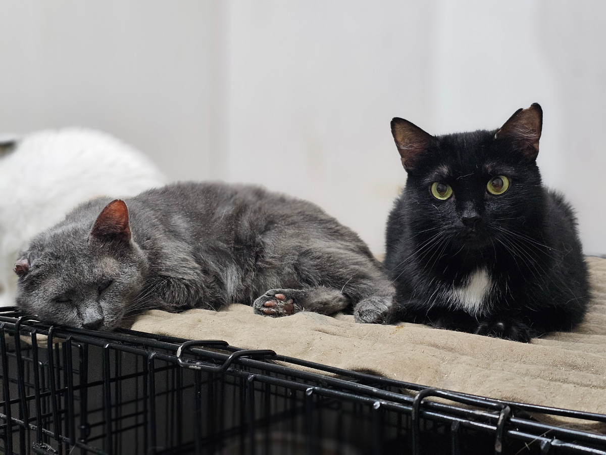 Фото автора. Серёга слепой и Изюм.