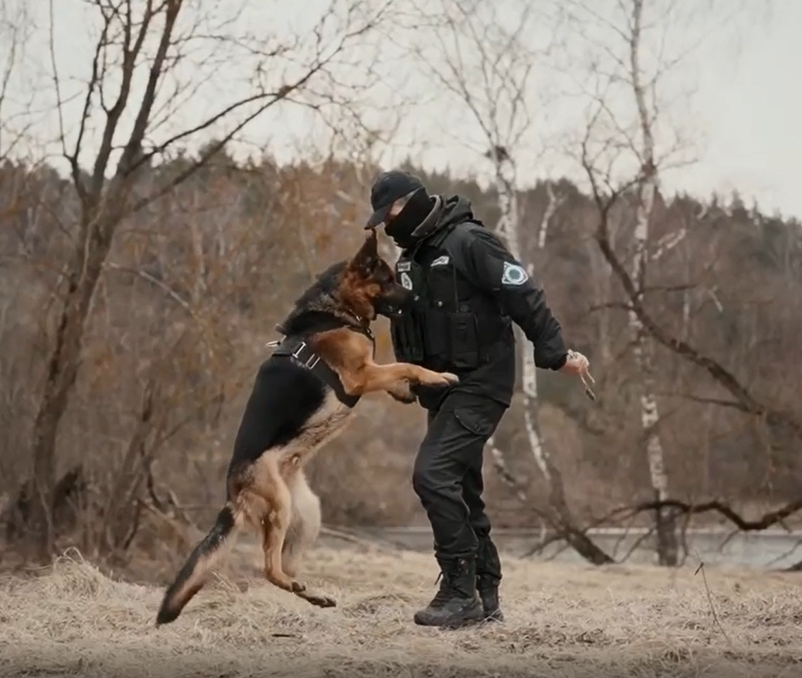 кинолог и служебная собака