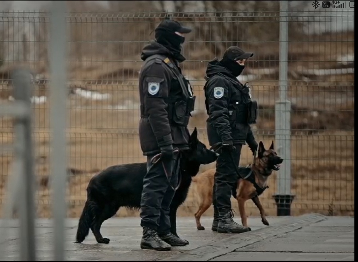 кинологи на работе