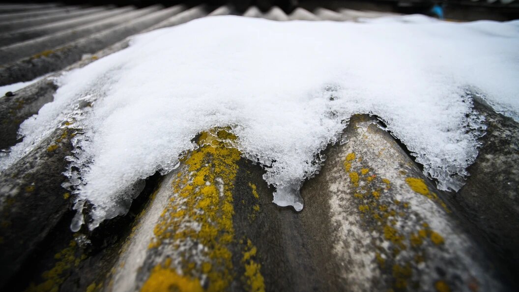    © Ilya Moskovets/Globallookpress