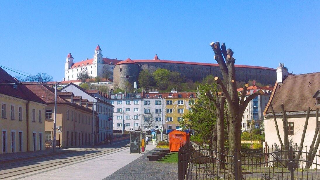 Личное фото автора