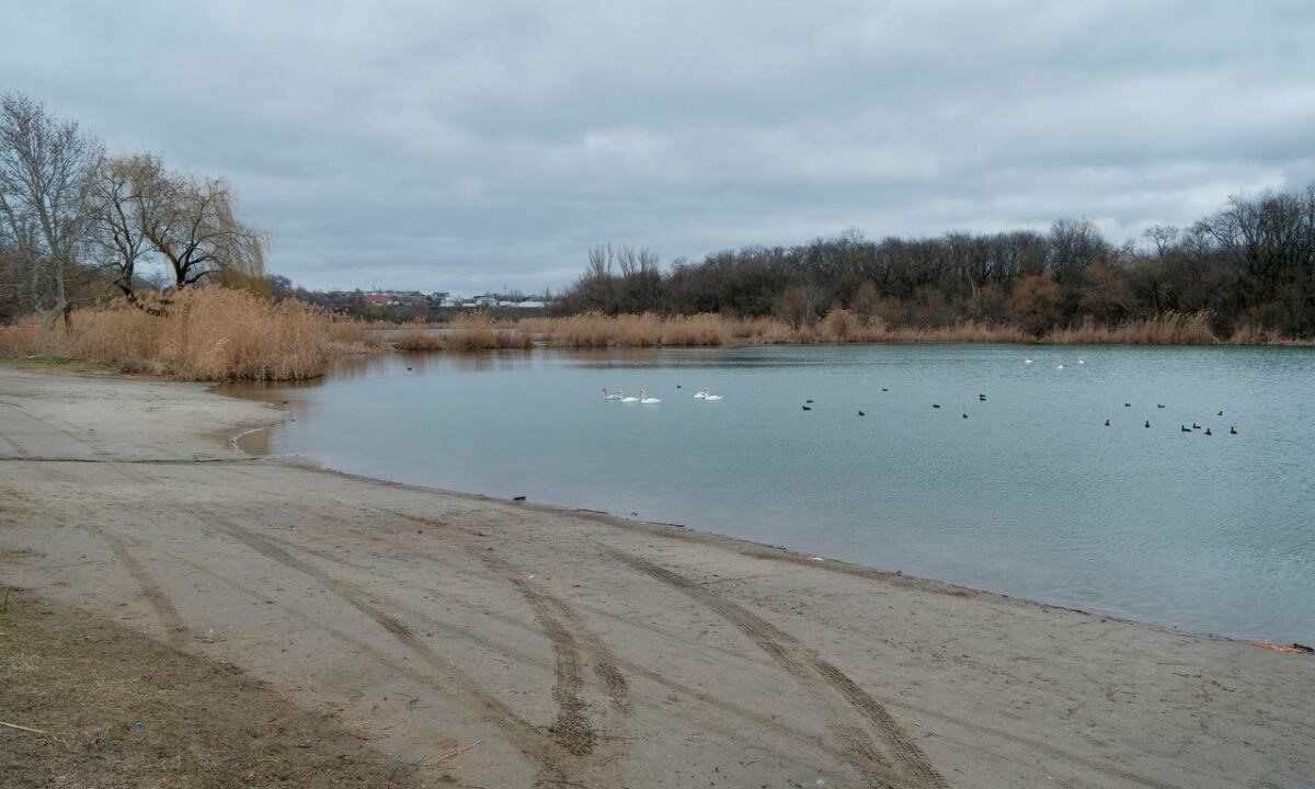    Фото пресс-службы администрации Краснодарского края