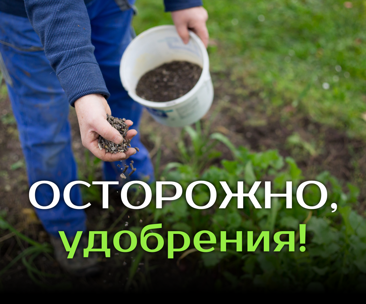 С удобрением Весеннее 3в1 от "Сила Суздаля" всё под контролем! 🌱⚖️
