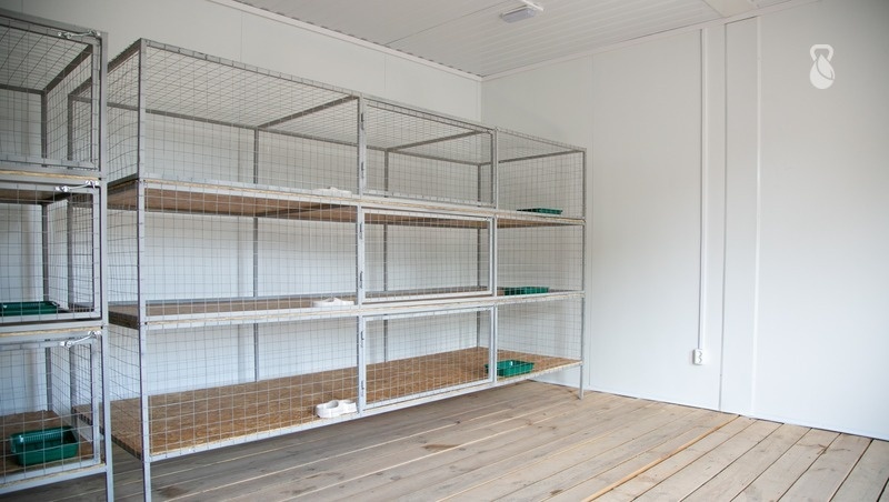      Фото: Валерия Алтухова / / ИА «Победа26»