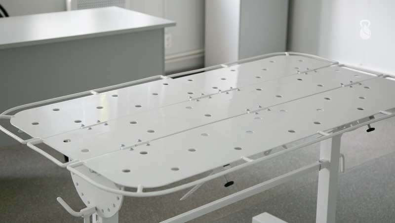    В ПВС животных лечат и стерилизуют, после чего ищут им хозяев Фото: Валерия Алтухова / / ИА «Победа26»