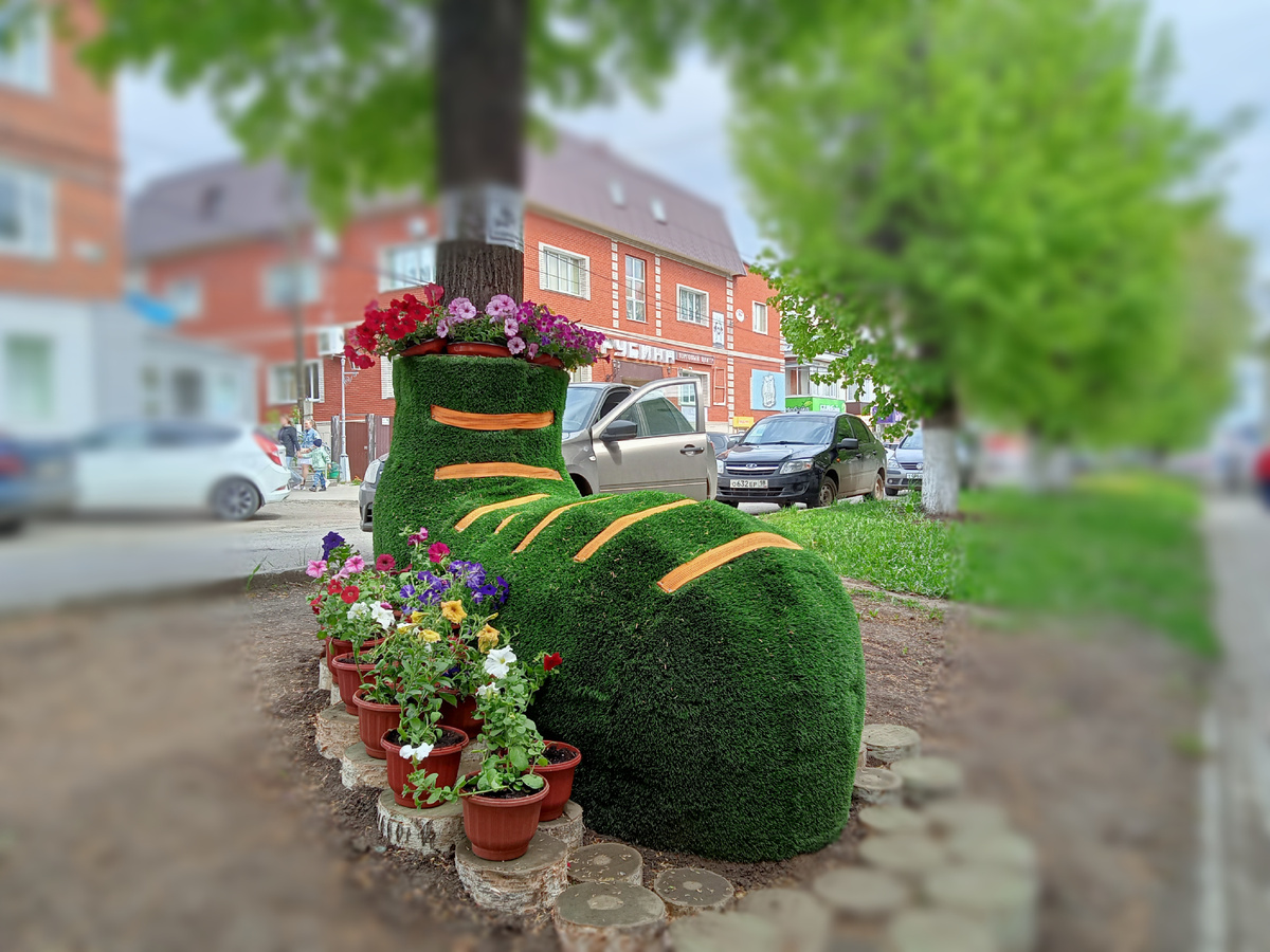 Местные эко-скульптуры. Фото автора