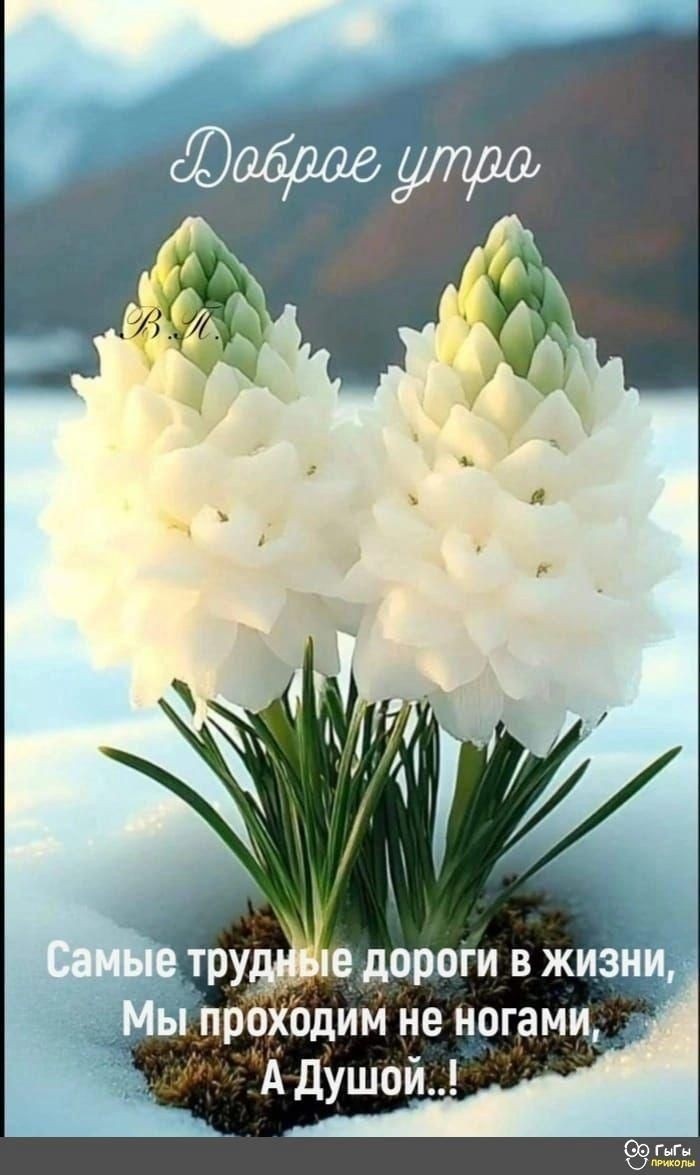 Фото из Pinterest.