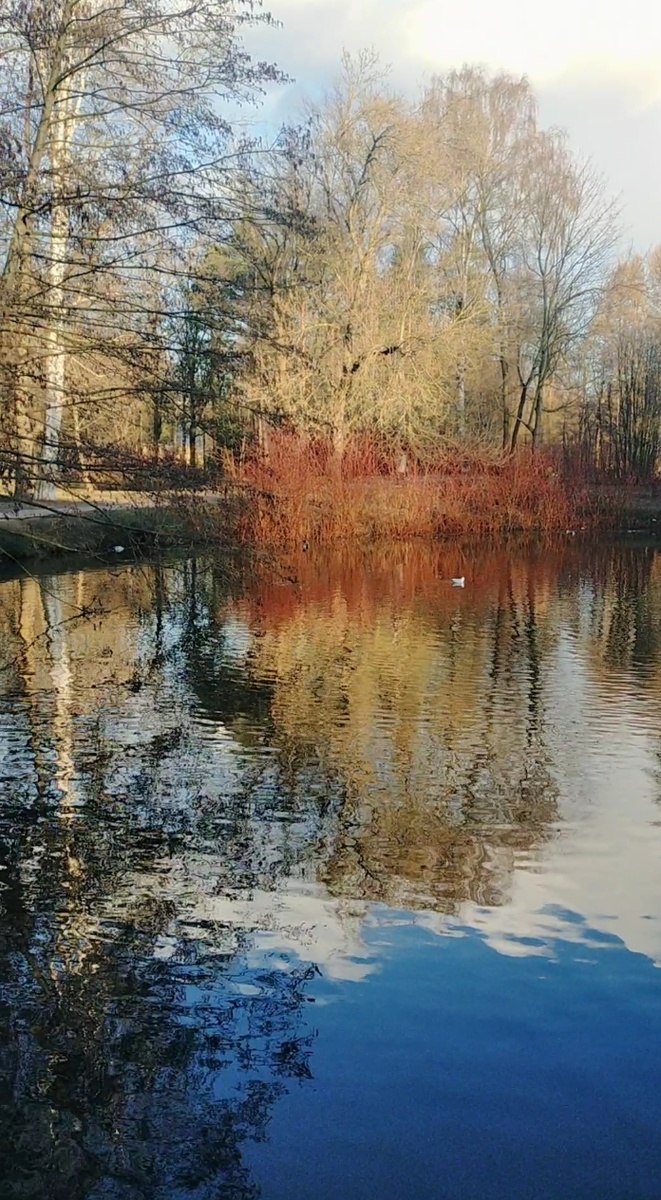 Фото автора.