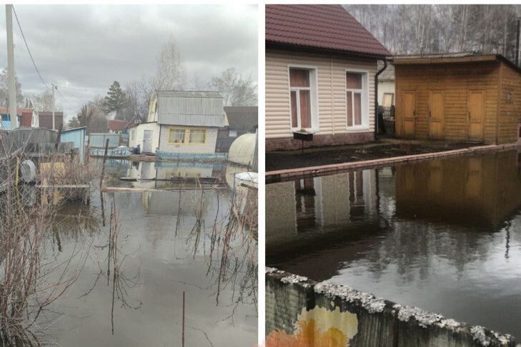     Дачи при полноводье. Источник: vn.ru Автор фото: "Моя Первомайка" / Андрей Волохов