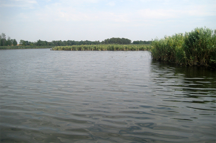 В Тихорецком районе Тихонькая протекает возле посёлка Крутого, станицы Фастовецкой, хуторов Криница и Тихонький. Фото: Анастасия Славгородская.