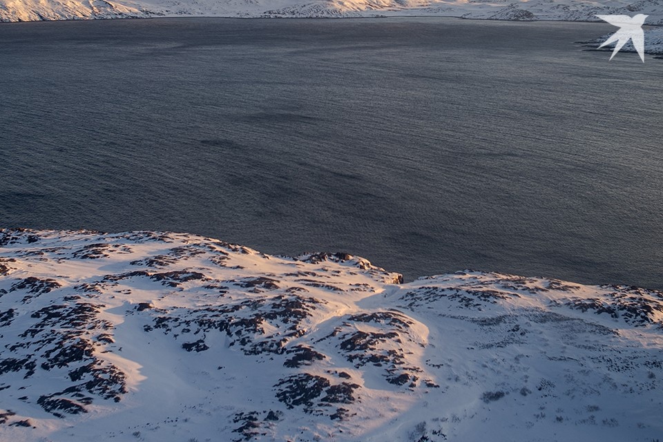    Гиды сообщают, что в Баренцевом море наконец заметили горбатых китов - этих любимцев туристов не было у побережья Мурманской области с осени 2024 года. Антон ЗАБИРОВ