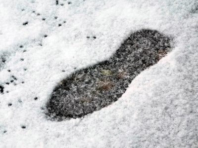    Фото: ГТРК Карелия