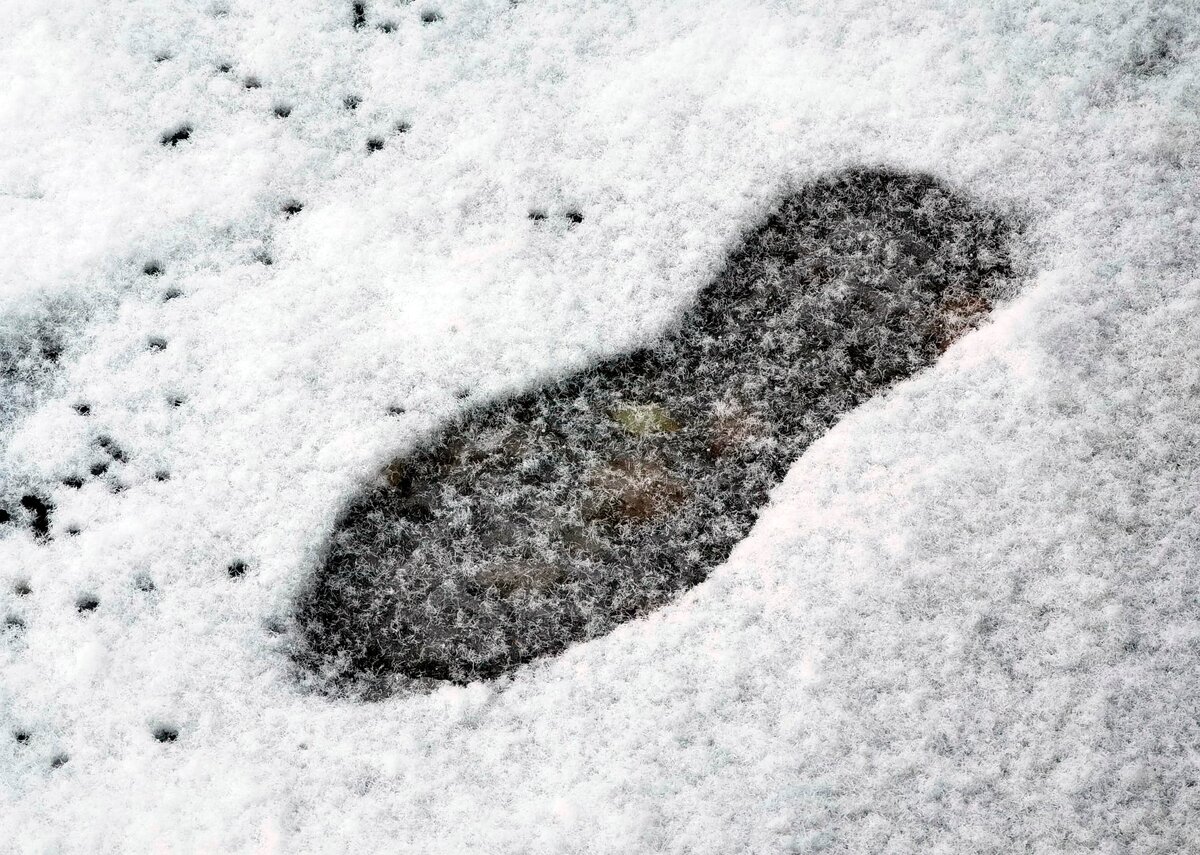    Фото: ГТРК Карелия